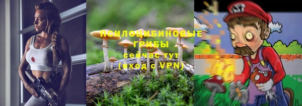 МДПВ Мегион